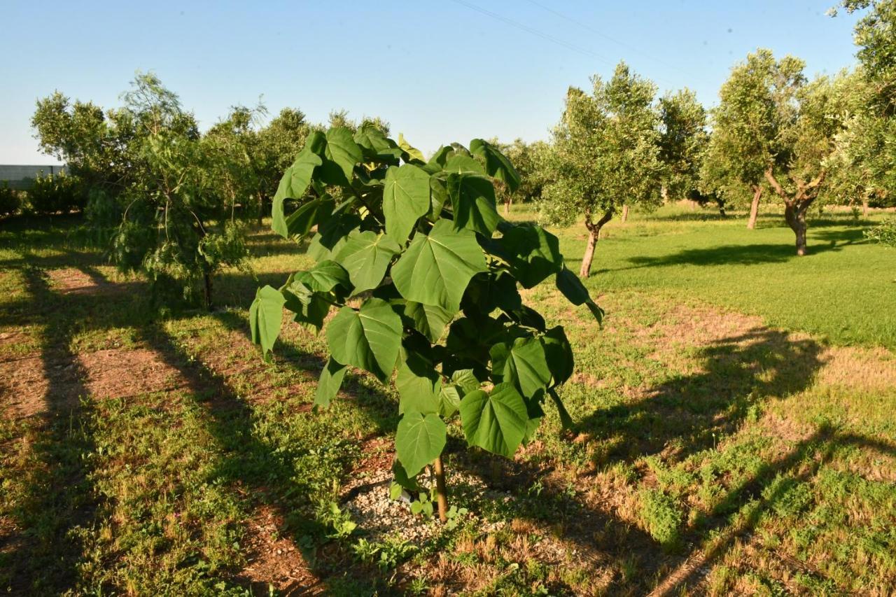 Tenuta Corano Nardò Zewnętrze zdjęcie